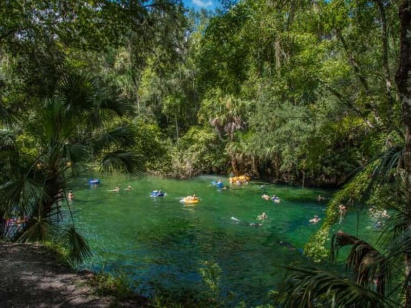 Orange City: Blue Spring State Park Guided Kayak Tour - Practical Tips for Your Trip