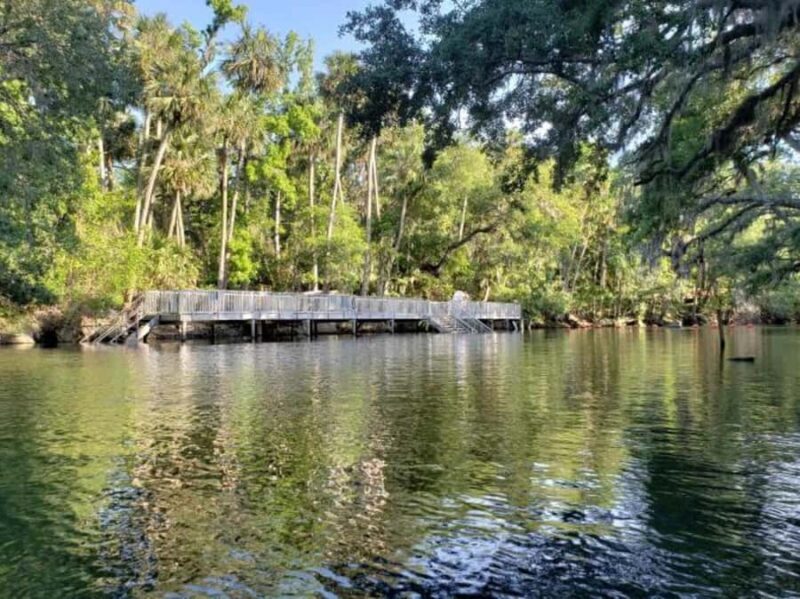 Orange City: Blue Spring State Park Guided Kayak Tour - The Sum Up