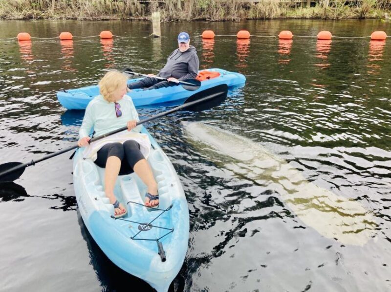Orange City: Blue Spring State Park SUP & Kayaking Tour - Key Points