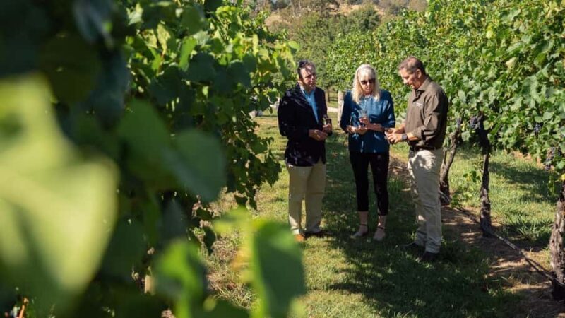 Orange: Indulge with Swinging Bridge - 5-Course Lunch & Tour - Value and Cost