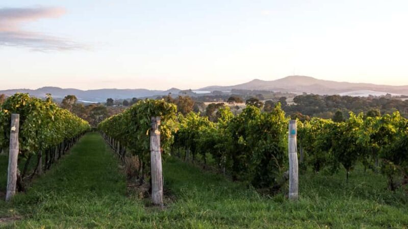 Orange: Indulge with Swinging Bridge - 5-Course Lunch & Tour - The Experience for Different Travelers