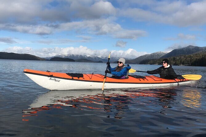 Orca Cove Sea Kayaking - What the Tour Entails and Why It Matters