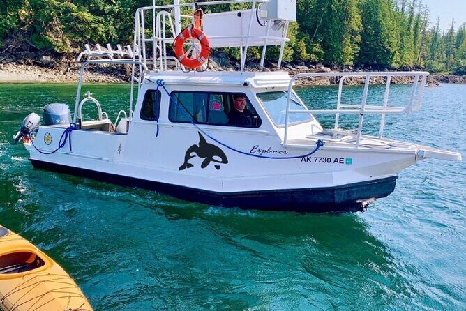 Orca Cove Sea Kayaking - Who This Tour Is Best For