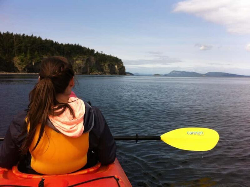 Orcas Island: Wildlife Spotting Kayak Tour - Key Points