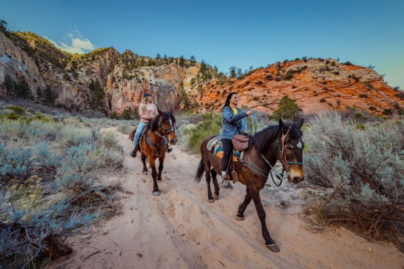 Orderville: East Zion Park White Mountain Horseback Tour - What To Expect from the Tour