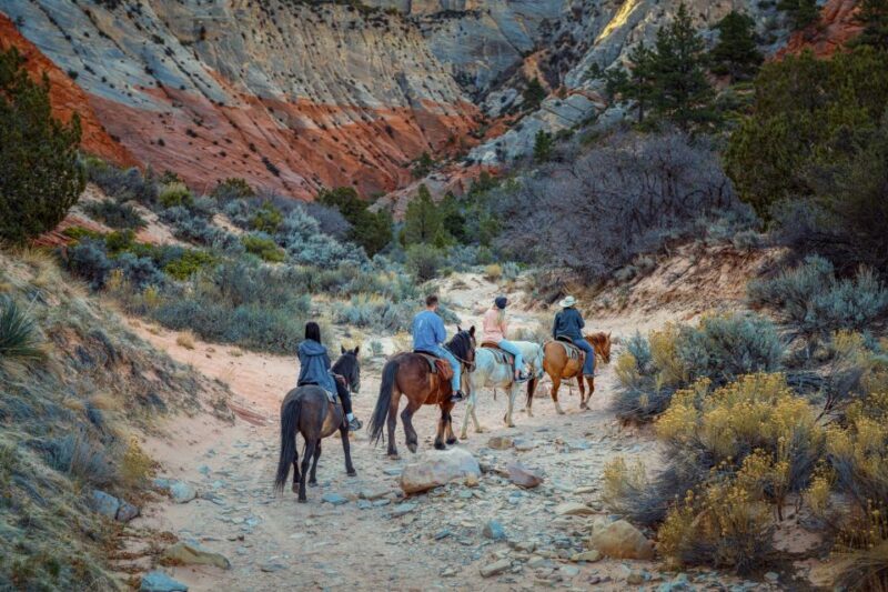 Orderville: East Zion Park White Mountain Horseback Tour - Practical Details: Price, Duration, and Group Size