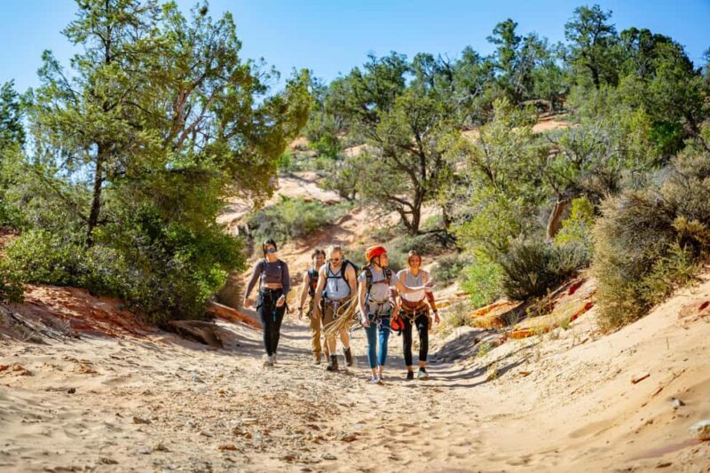 Orderville/Kanab: Coral Sands Canyoneering & Rappelling Tour - Why You Might Love This Tour
