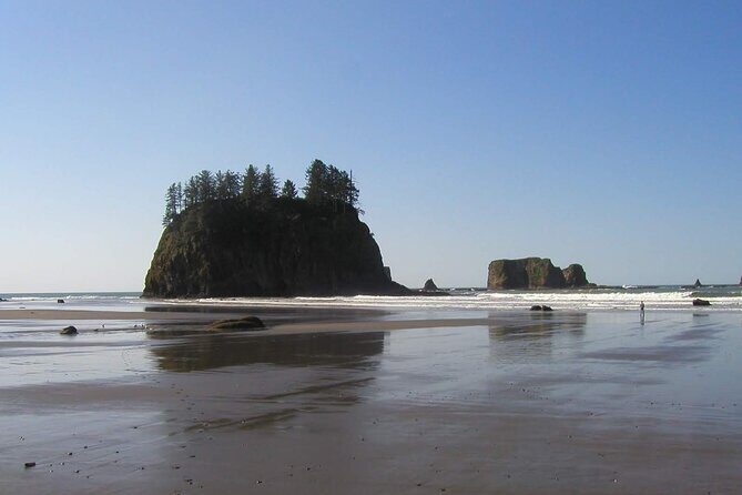 Oregon Coast Scenic Day Tour - Final Thoughts