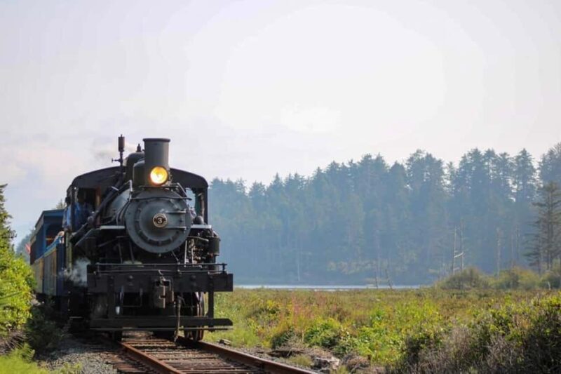 Oregon Coast: Scenic Railroad Excursion Along Coastline - The Experience and Its Value