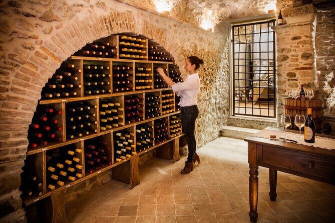 Organic Family Winery Experience in Liguria - Key Points