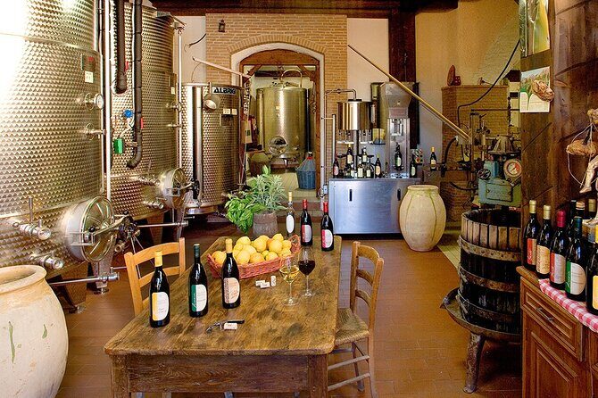 Organic Family Winery Experience in Liguria - What the Tour Entails