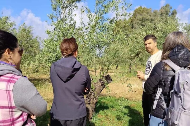 Organic olive oil tasting and visit to a family olive grove with fruit and a gift - An Honest Look at the Experience