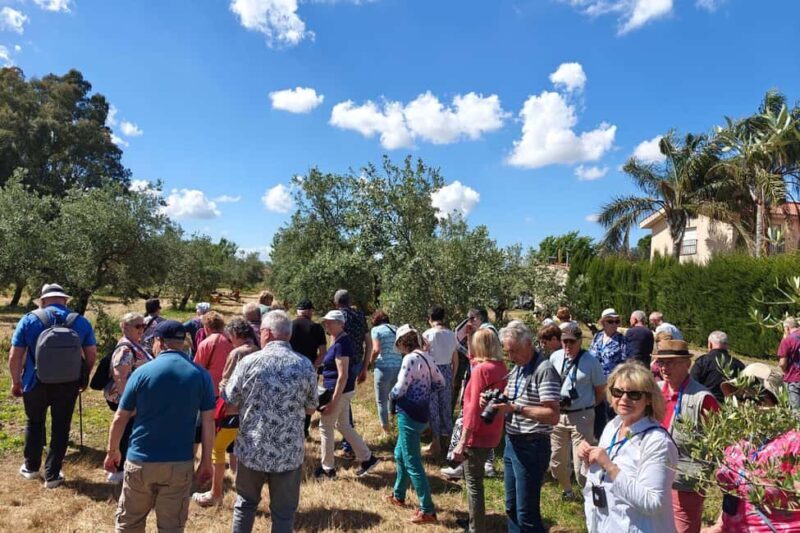 Organic olive oil tasting and visit to a family olive grove with fruit and a gift - Final Thoughts
