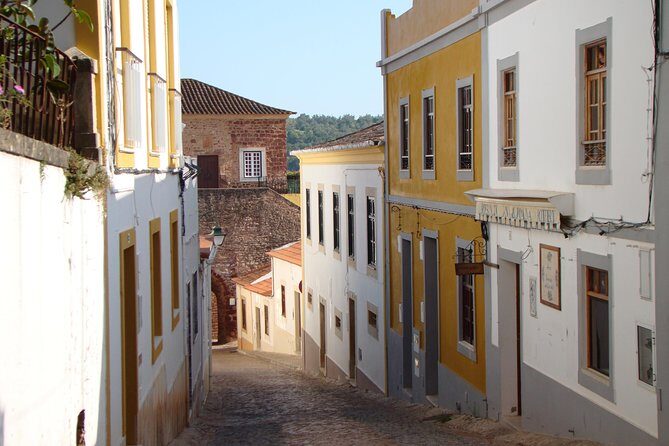 Organic Orange Picking & Jam Making with Farm-to-Table Lunch - The Pros and Cons