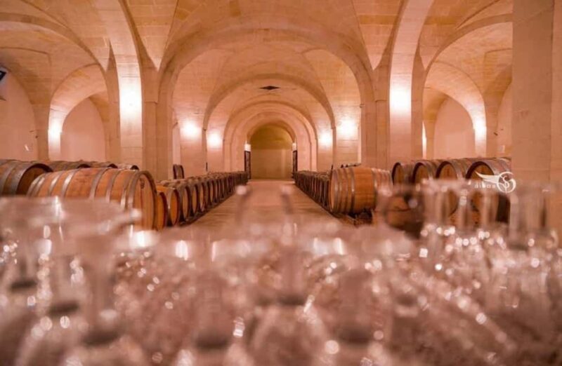 Organic Wine and Olive Oil Tasting Experience near Lecce - Price and Value