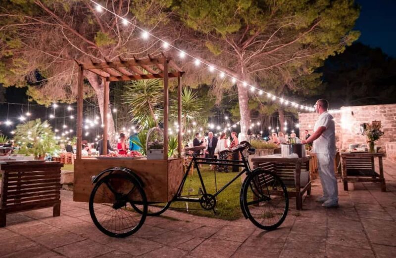 Organic Wine and Olive Oil Tasting Experience near Lecce - Experience from Guest Perspectives