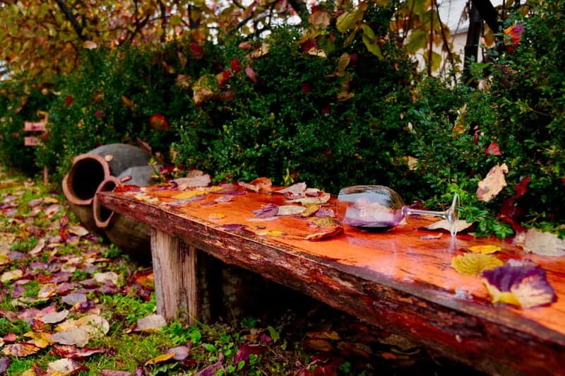 Organic Wine Full Day Private Tour With Tastings and Lunch - Exploring Georgia’s Organic Wine Scene: A Detailed Look at the Full Day Private Tour