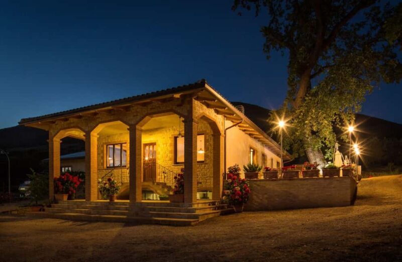 Organic Wine, Local Food Tasting & Vineyard Walk near Assisi - A Closer Look at the Experience