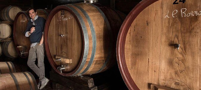 Organic Wine Tasting & Lunch Experience on Mt Vesuvius - What You Can Expect From the Tour