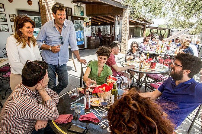 Organic Wine Tasting & Lunch Experience on Mt Vesuvius - Who Should Consider This Tour?