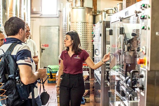 Organic Wine Tasting & Lunch on Vesuvius with Transfer from Sorrento Peninsula - What to Expect from This Vesuvius Wine Tour