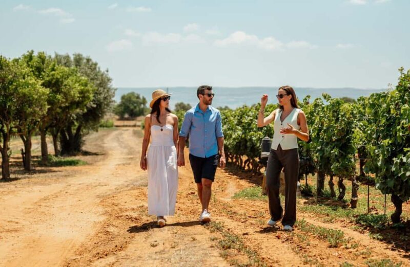 Organic Winery Tour, Wine Tasting & Light Lunch near Ragusa - Practical Details and Considerations