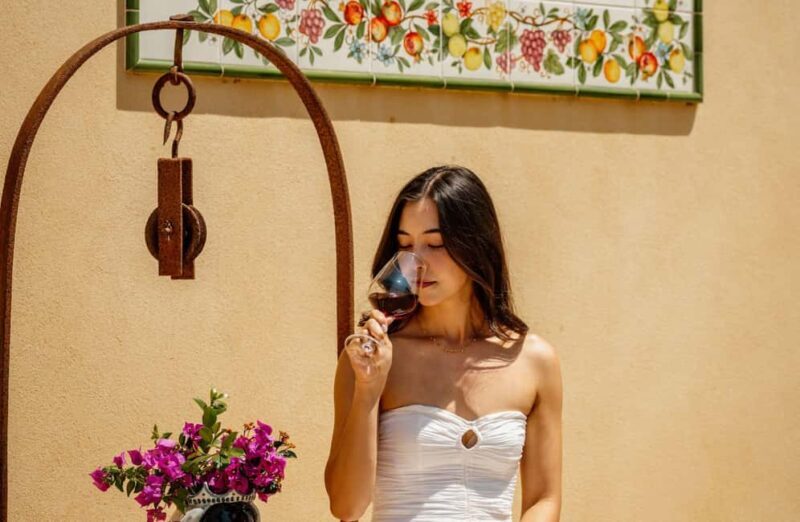 Organic Winery Tour, Wine Tasting & Light Lunch near Ragusa - Who Would This Tour Suit?