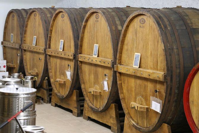 Organic Winery tour with Full Lunch from Assisi - An In-Depth Look at the Assisi Organic Winery Tour