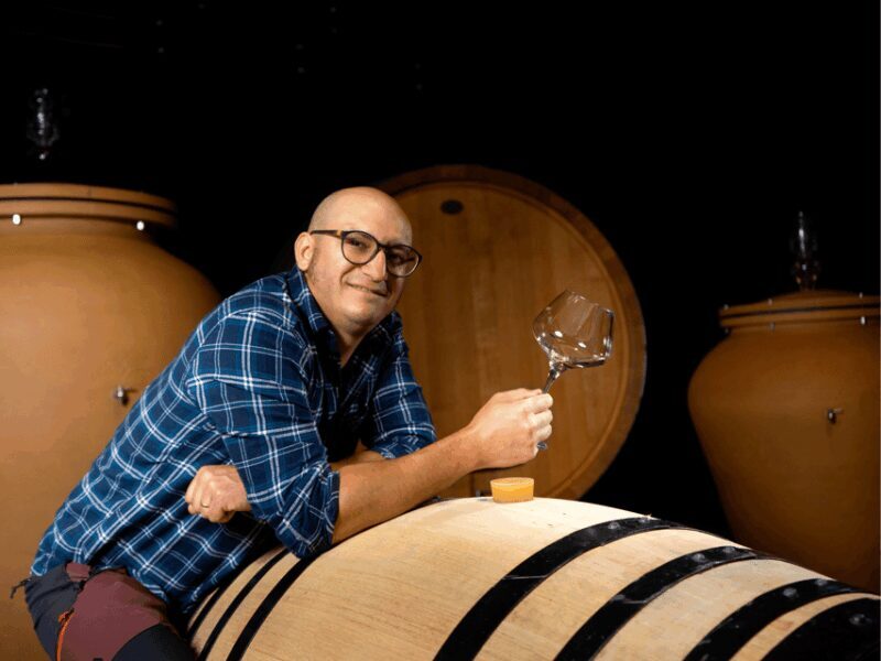 Organic Winery Visit near Turin with Wine & Food Tasting - Key Points