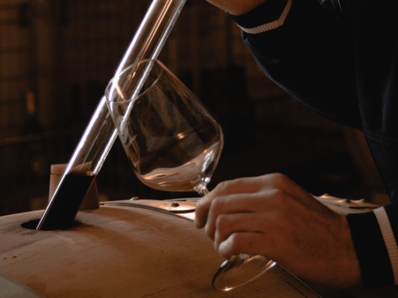 Organic Winery Visit & Wine Tasting with Food in Pavia - Organic Winery Visit & Wine Tasting with Food in Pavia: A Genuine Look