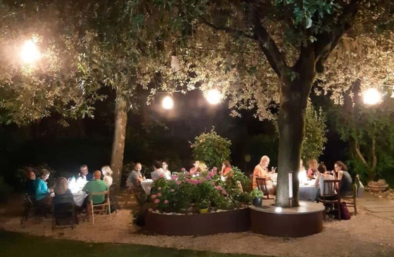 Organic Winery Visit with Wine & Food Tasting in Bologna - The Value of This Tour