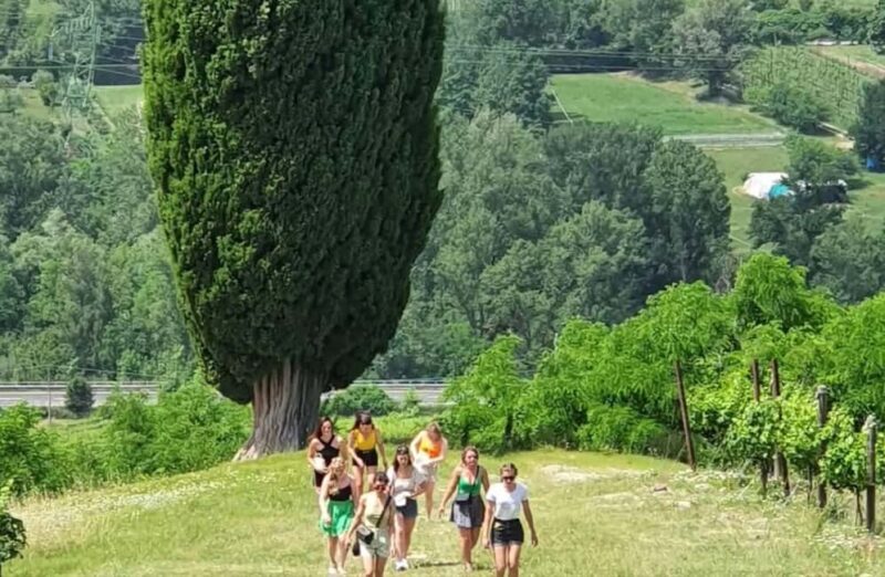 Organic Winery Visit with Wine & Food Tasting in Bologna - Practical Details and Tips