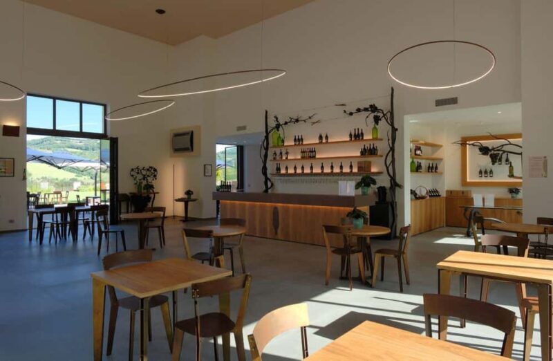 Organic Winery Visit with Wine & Food Tasting in Bologna - The Sum Up