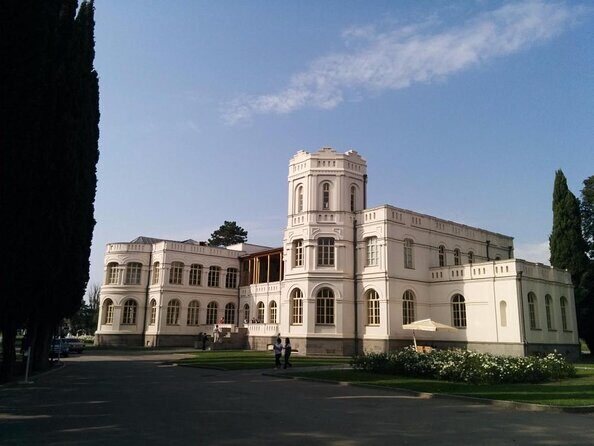 Organic wines of Mtskheta - private tour with lunch and wine tastings - Exploring the Organic Wines of Mtskheta: A Private Tour You’ll Remember