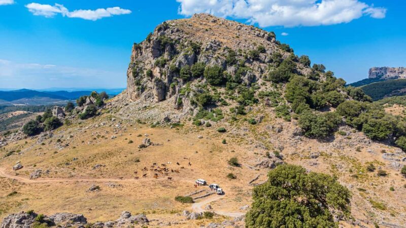 Orgosolo Experience: Murals and Culture with a typical Lunch - The Cultural Heart: Murals and Orgosolo Town