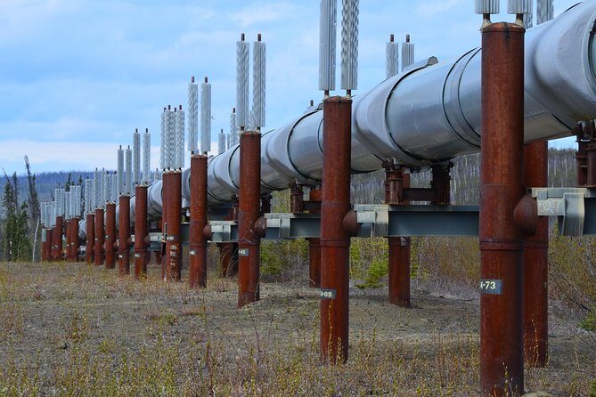 Original Arctic Circle Drive from Fairbanks - Who Will Love This Tour?