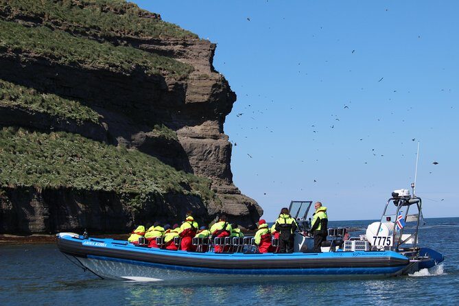 Original Big Whale Safari & Puffins Speedboat Tour from Húsavík - Practical Details and Value