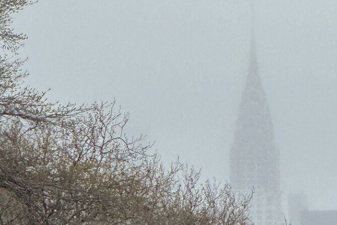 Original Chinatown Dumpling Tour - Final Thoughts