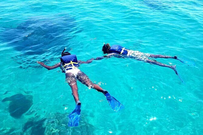 Original Snorkel and Sandbar Combo in Islamorada - Value for Money and Overall Experience