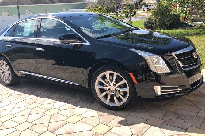 Orlando Airport MCO to Port Canaveral Luxury Sedan - Why Choose This Transfer?