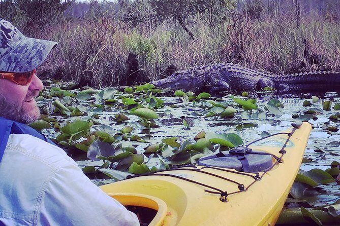 Orlando Alligator Experience - What to Expect from the Orlando Alligator Experience