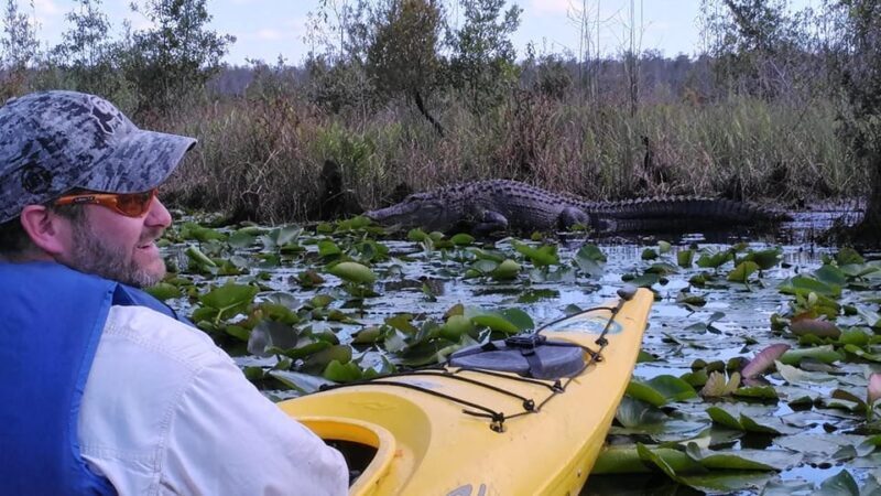Orlando Alligator Experience: Day-Trip From Orlando - Who Is This Tour Best For?