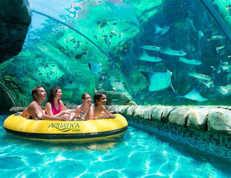 Orlando: Aquatica Water Park Admission Ticket - What to Expect on the Day