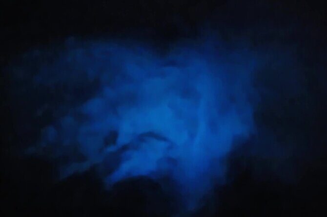 Orlando Bioluminescence Kayak Adventure - What to Expect from Your Bioluminescence Kayak Tour