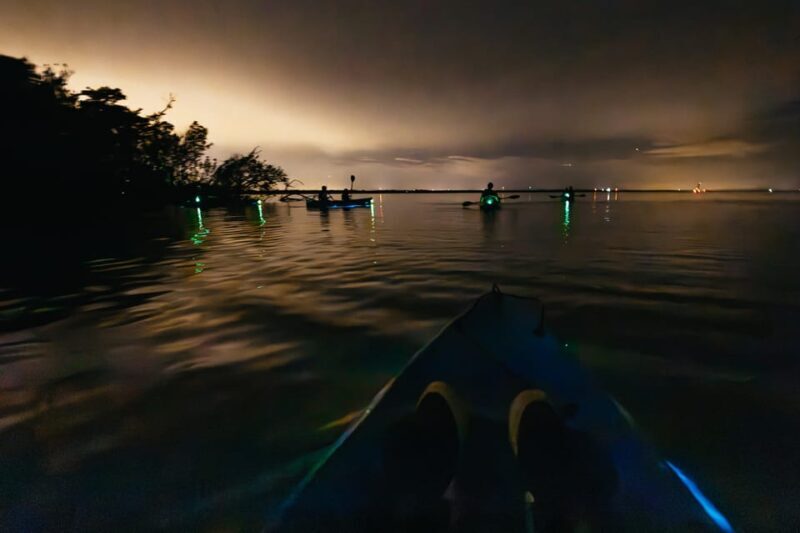 Orlando: Bioluminescence Kayak Tour - The Value and Cost