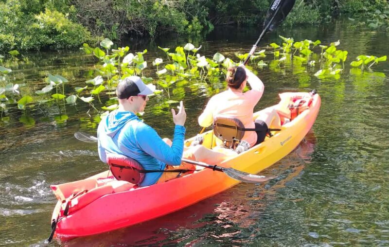 Orlando: Blue Springs Manatee Kayak Tour - Key Points