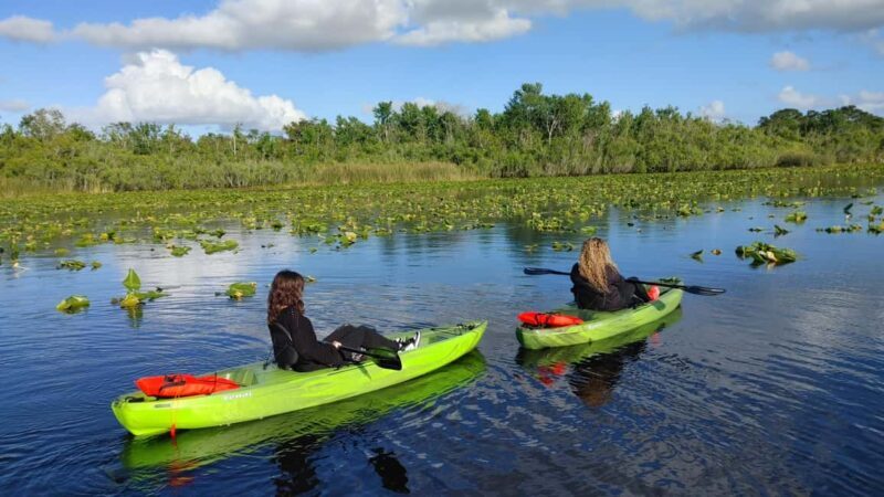 Orlando: Blue Springs Manatee Kayak Tour - Who Should Book This Tour?