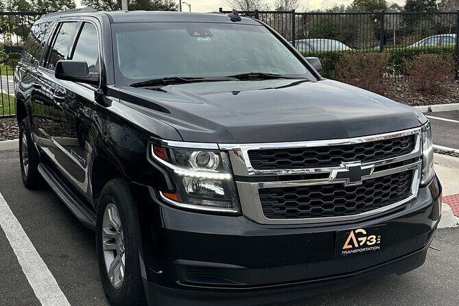 Orlando Chauffeur Transfer: MCO Airport/Hotels to Port Canaveral - Who Is This Transfer Best For?