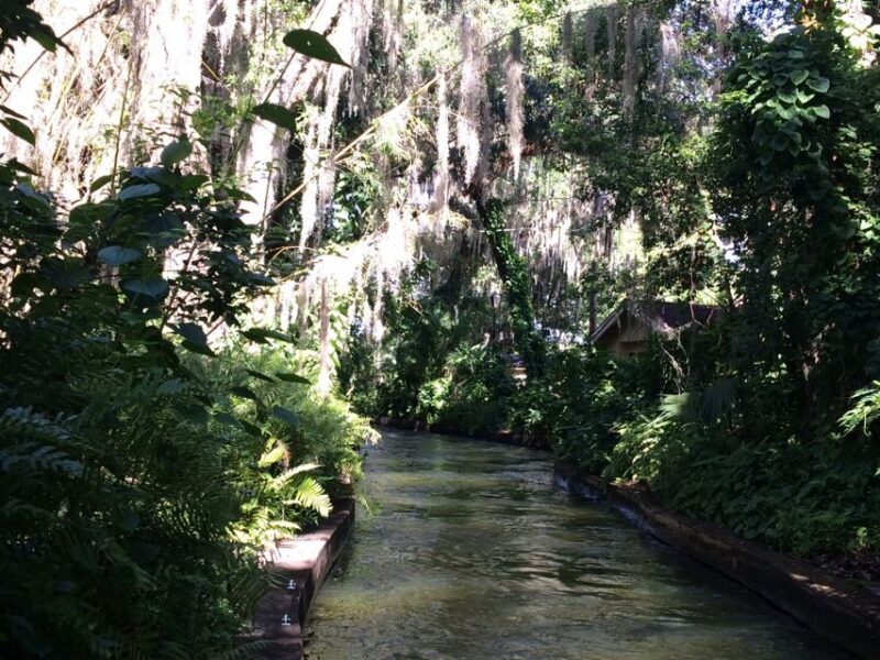 Orlando: City Highlights and Hidden Gems Tour - The Itinerary: What You Can Expect from the Tour