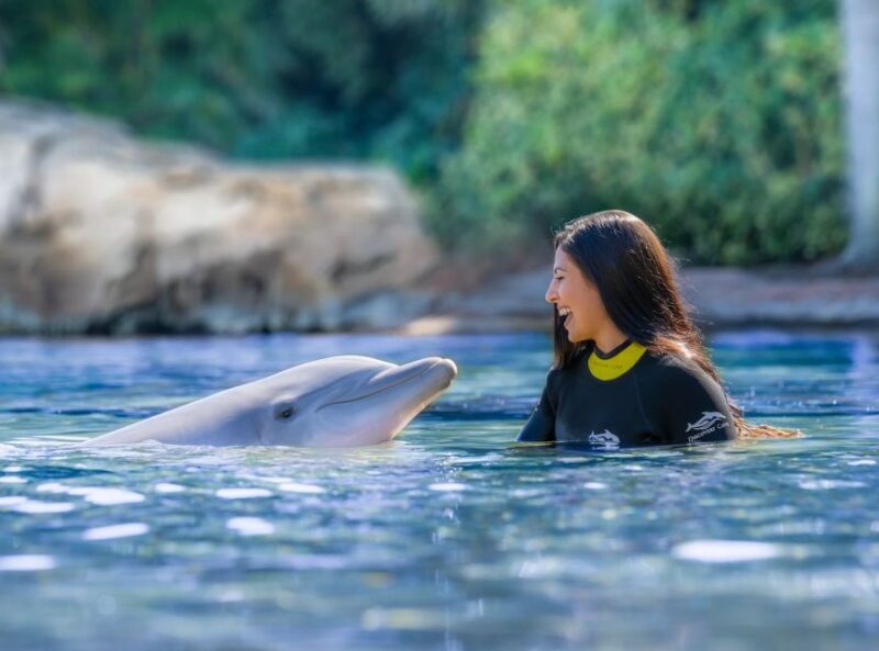 Orlando: Discovery Cove Admission Ticket & Additional Parks - Discovering What Makes Discovery Cove Special